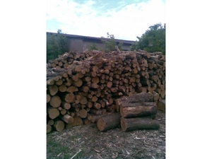 Куплю дрова из дуба грн.0