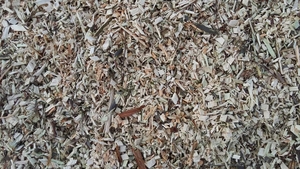 Продам щепу топливную партиями от 20 до 50 тонн грн.0