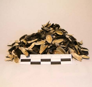 Купим лузгу подсолнечника  грн.400