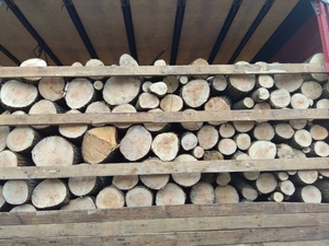 Дрова дуб, акация, тополь, орех, ясень, фруктовые грн.0