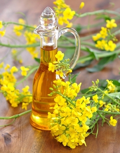 Купим сырое дегуммированное соевое масло DIN 51605 грн.0