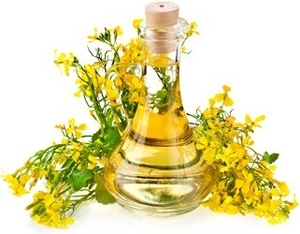 Рапсовое масло PMM300 из Польши грн.615