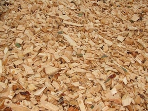 Купим топливную щепу из твердых пород дерева для Швеции грн.50