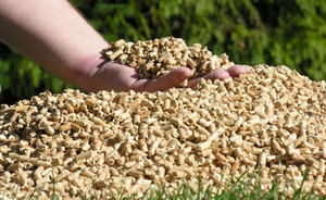 Древесная пеллета светлая грн.115