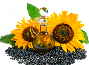 Куплю дорого техническое масло масличных культур грн.0