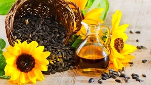 Куплю дорого масло 2 сорта масличных культур  грн.0