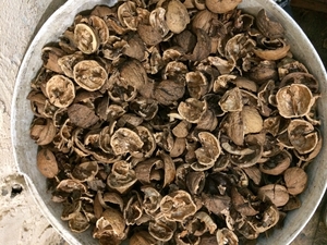 Альтернатива дров - скорлупа грецкого ореха грн.1