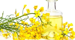 Продаем рапсовое масло PPM 300 грн.0