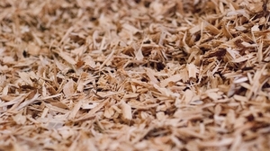 Закупаем топливную щепу 90% из хвойных пород грн.45