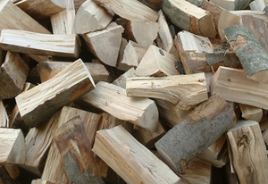 Бельгийская компания закупает дрова из сосны, ели или бука грн.0