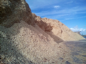 Закупаем топливную щепу в больших объёмах круглый год грн.19