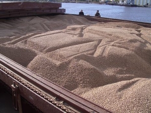 Купим древесную пеллету в мешках или насыпом, CFR Busan грн.1