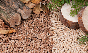 Предлагаем пеллету из бука, 6 мм, А1 и А2 с SGS надзором грн.1