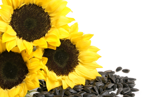 Прдам подсолнечник грн.10200