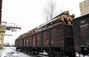 Купим рудстойку (пиловочник хвойных пород) большими объемами грн.