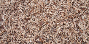 Предлагаем сосновую топливную щепу грн.0