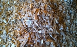 Щепа сосновая, 15% влажности грн.0