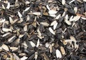 Купим лузгу подсолнечника грн.1