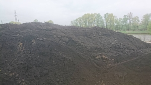 Торф низинный оптом грн.0