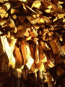 Продам дрова фруктовых пород грн.50