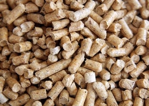 Куплю древесную гранулу на условиях FCA грн.1