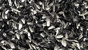 Шелуха подсолнечника грн.700