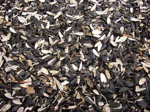 Нужна лузга подсолнечника, 30 т ежемесячно грн.0