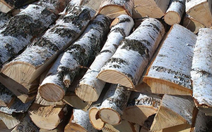 Купим сухие дрова из березы, ели и сосны грн.1