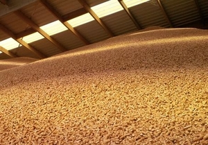 Интересует пеллета еловая, навалом, 40"контейнер, CIF грн.1