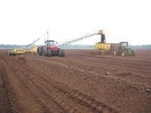 Продам торф и торфокрошку грн.100