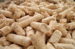 Интересует пеллета EN А, 40"контейнер, 15 кг мешок, CIF грн.1