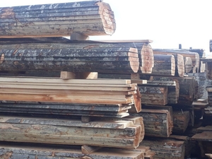 Бук пиломатериалы оптом от производителя. грн.