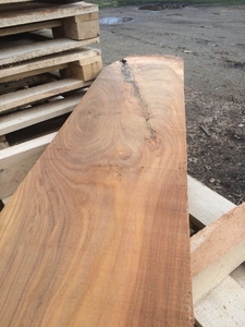 Карагач, вяз пиломатериалы, производитель грн.280