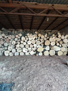 Продам дрова дубовые грн.750