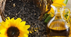 Продам масло подсолнечное сыродавленное, эко-продукция  грн.0