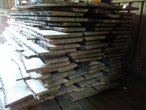 Продам необрезную доску дуба грн.8000