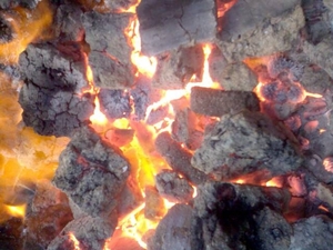 Произвожу топливный брикет из гидролизного лигнина грн.0