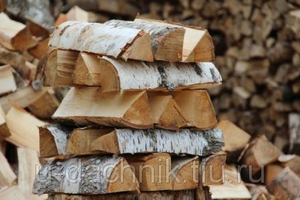 Купим оптом дрова, береза грн.1