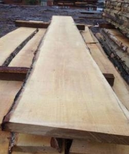 Продам доску необрезную (дуб, ясень, ольха) грн.0