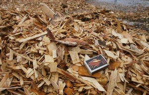 Цікавить покупка щепи паливної грн.0