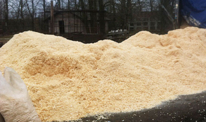 Купим тырсу опилки (сосна, ель, дуб) на постоянной основе грн.100