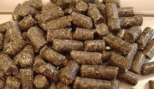 Интересует пеллета из соломы, 100 т в месяц грн.1
