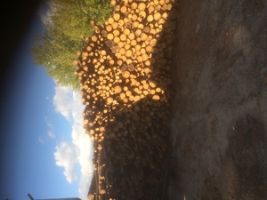 Производим и продаем топливную щепу грн.0