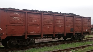 Торфобрикеты, брикеты торфяные навалом, ЖД доставка грн.1760