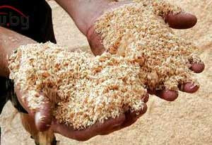 Закупки опилок из хвои грн.2200