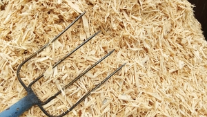 Тріска паливна грн.0