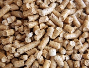 Пеллета з деревини, 400 т на місяць грн.0