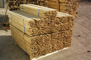 Закуповуэмо кілки акації грн.240