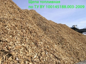 Продаем топливную щепу 1500 м.куб.ежемесячно грн.21