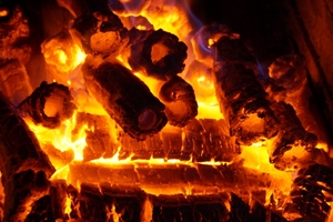 Паливні брикети Pini-Kay, (Піні Кей) грн.3250